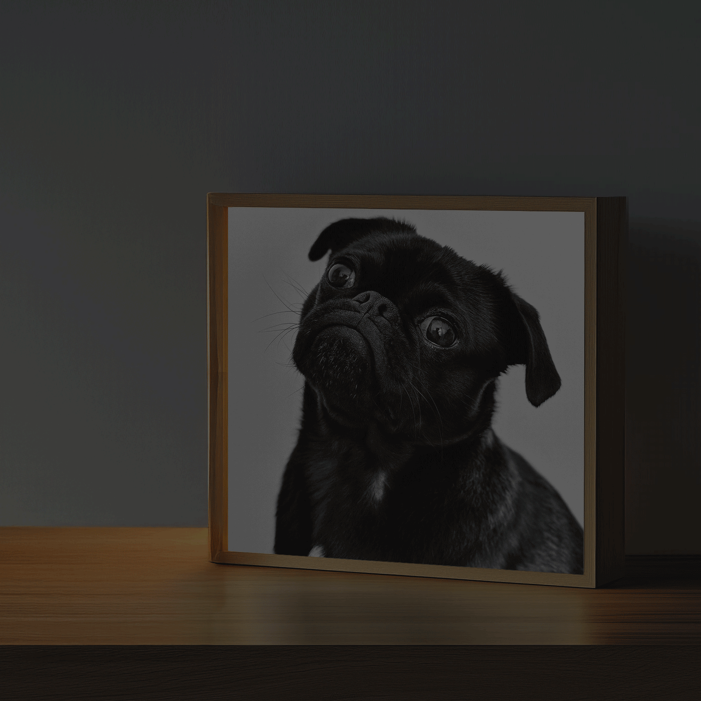 Illuminated Photo Frame